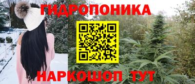 твердый Пугачёв