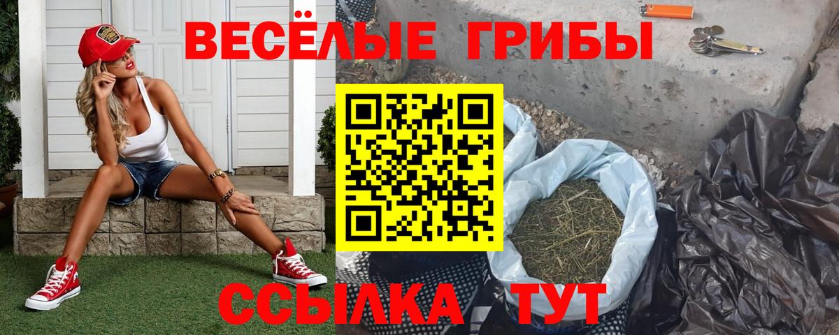 Галлюциногенные грибы мицелий  Вход с VPN  Семилуки  Галлюциногенные грибы MAGIC MUSHROOMS 