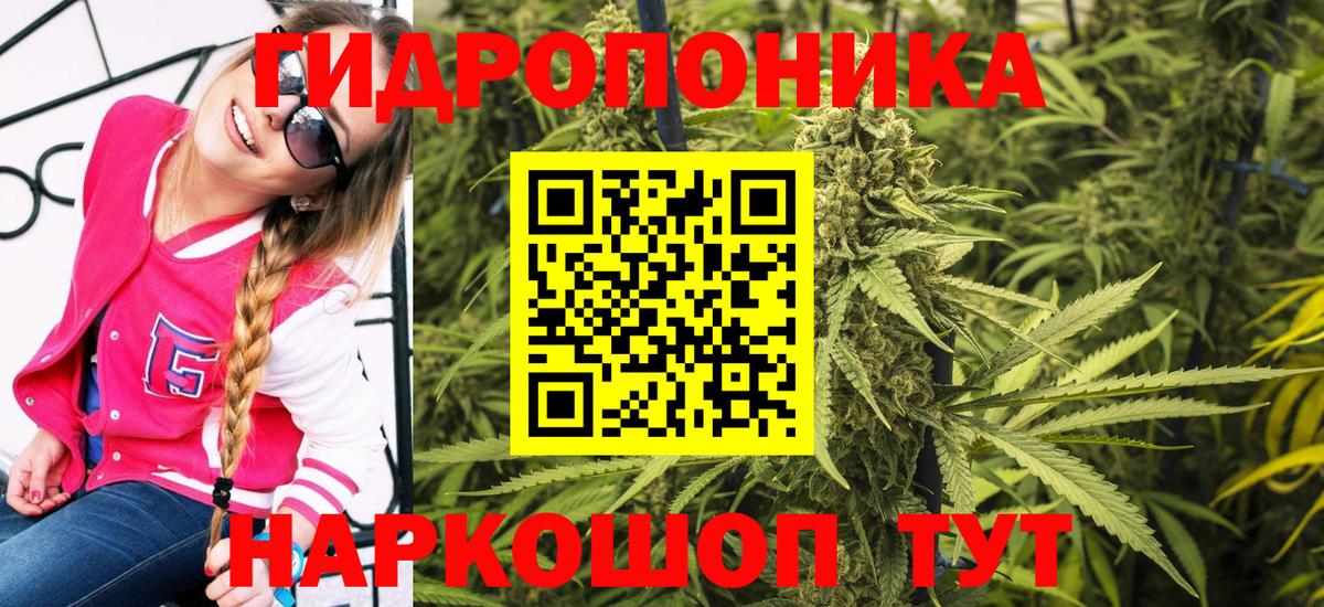 Бошки Шишки ГИДРОПОН  Марихуана сатива  Семилуки  Бошки Шишки гибрид  Вход с VPN 